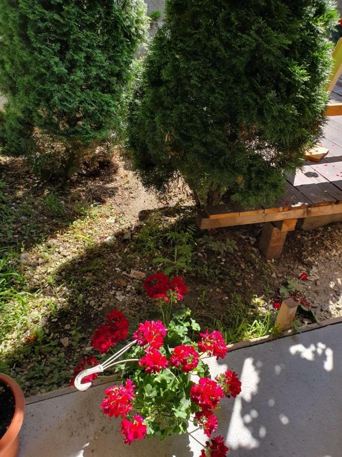 Tranzitbeds*** Aparthotel Bukarest Kültér fotó
